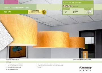 阿姆斯壮 雅秀RH99矿棉天花板